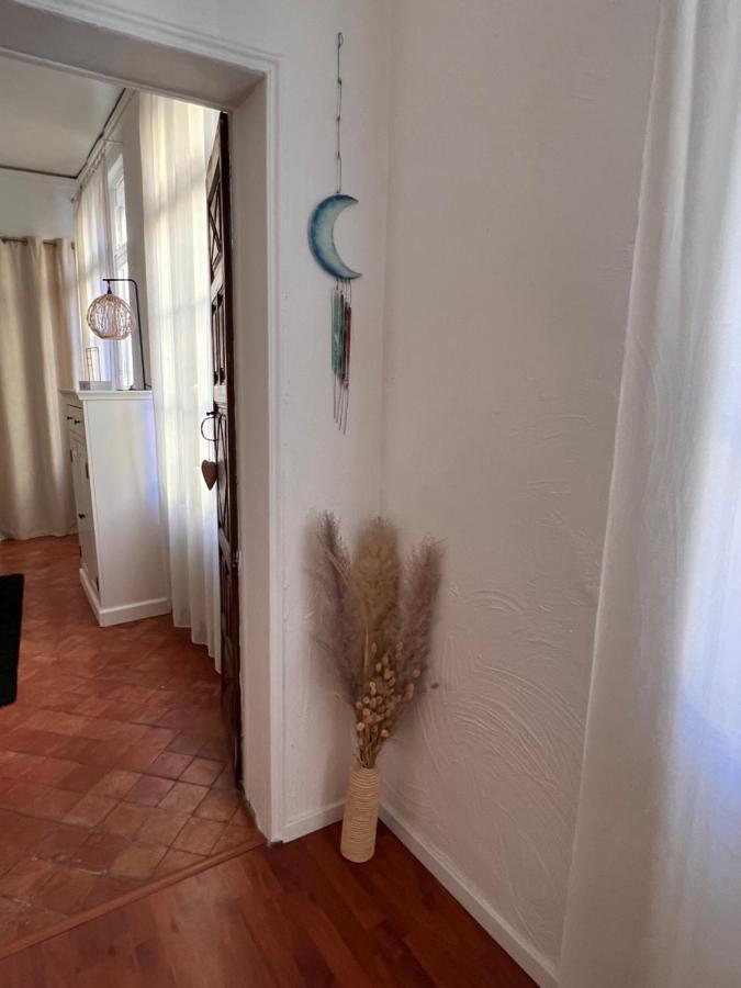 Perpignan Appartement En Plein Centre Historique Экстерьер фото